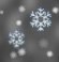 Light snow, Nuvoloso